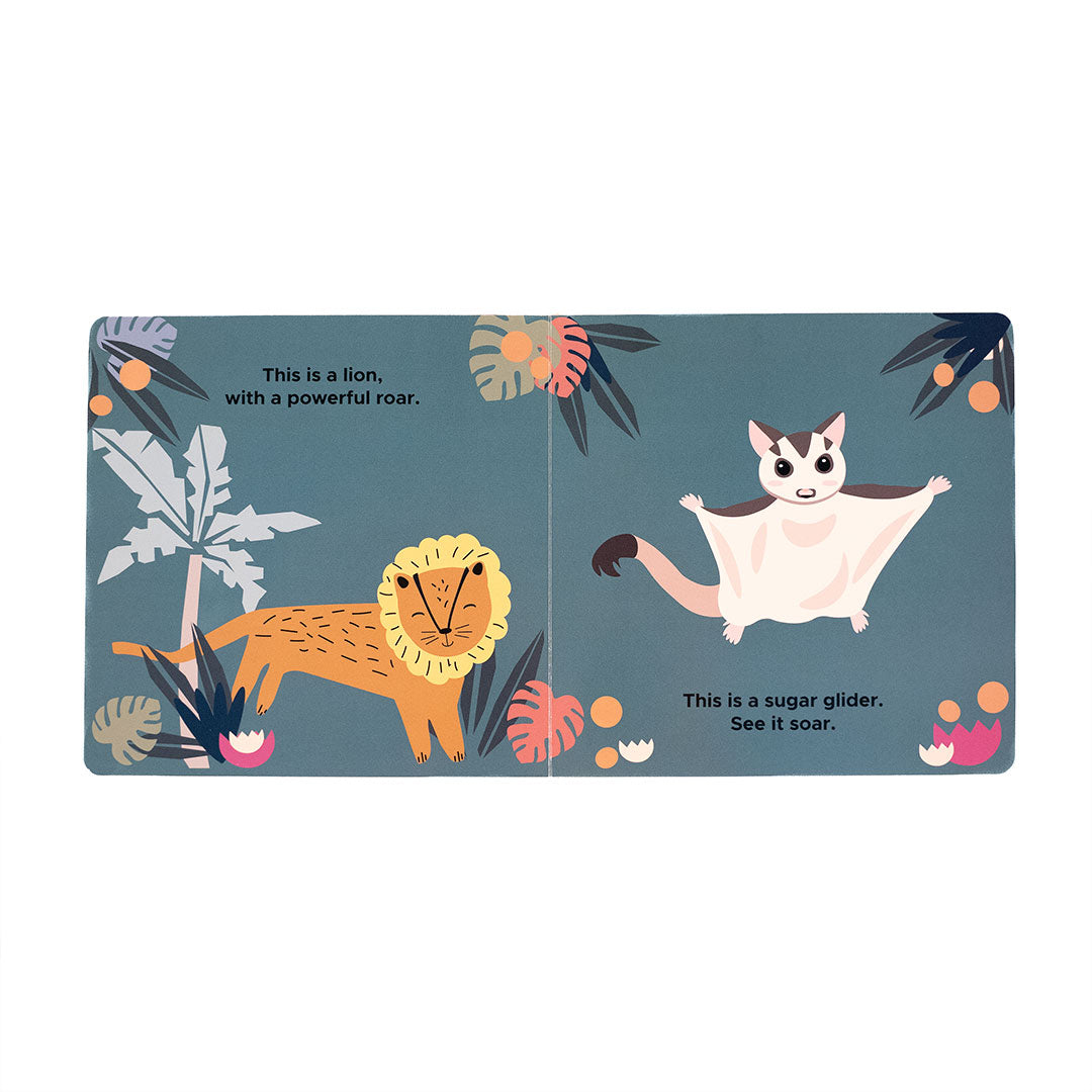 excerpt from the "zoo friends" board book. - this is a lion, with a powerful roar. this is a sugar glider. see it soar.
