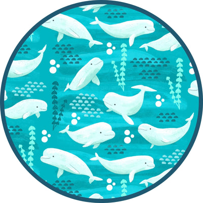 Beluga Whale Image