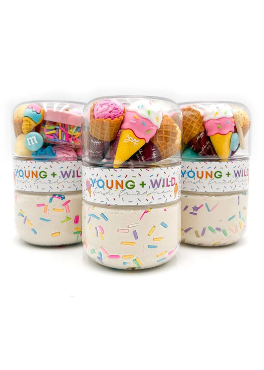 Young + Wild & Friedman - Ice Cream Grab & Go Sensory Dough Jar