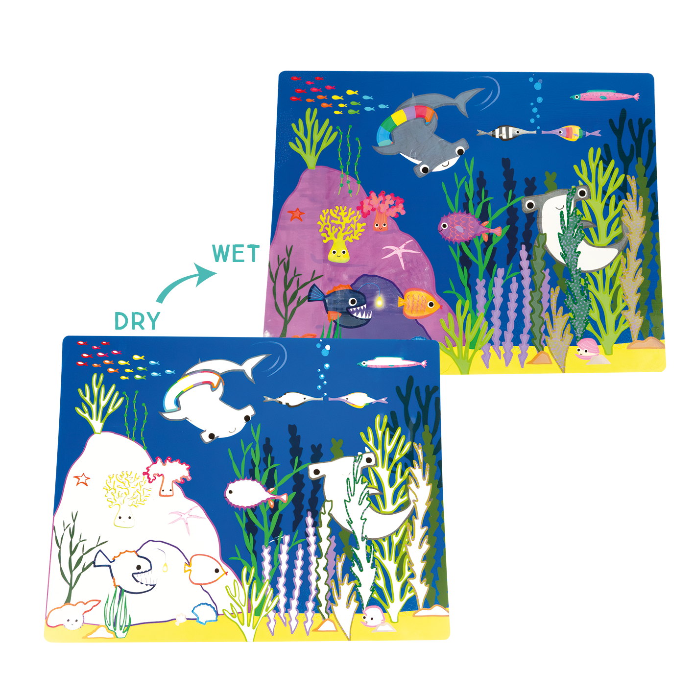 Two colorful placemats with underwater scenes and animals, one labeled 'Wet' and the other 'Dry'.