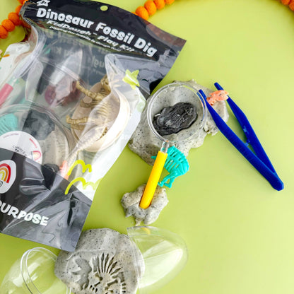 Dinosaur fossil dig kit with tools on a green background